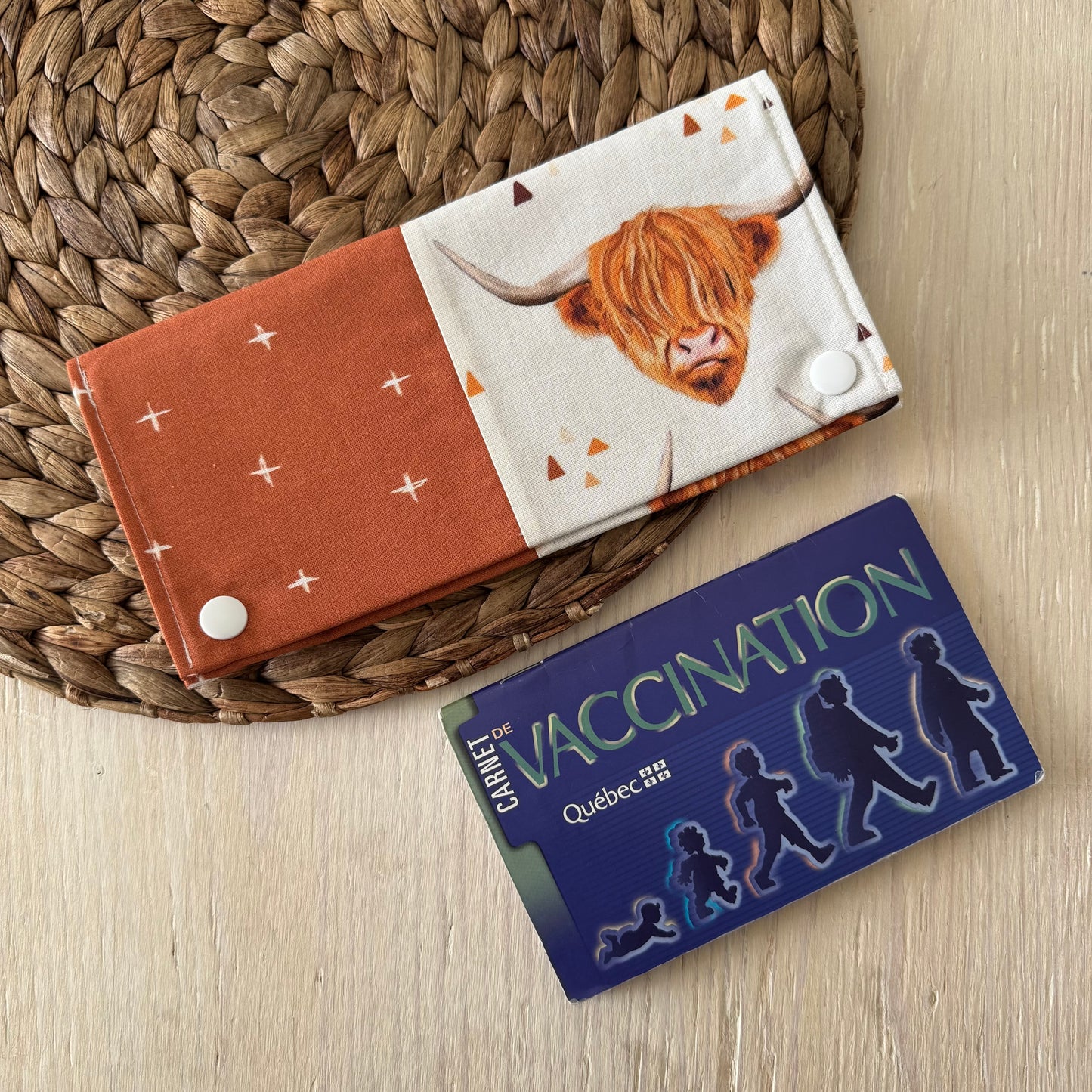 Protège carnet de santé pouvant contenir 2-3 carnets et 8-10 cartes. PRÊTS À PARTIR