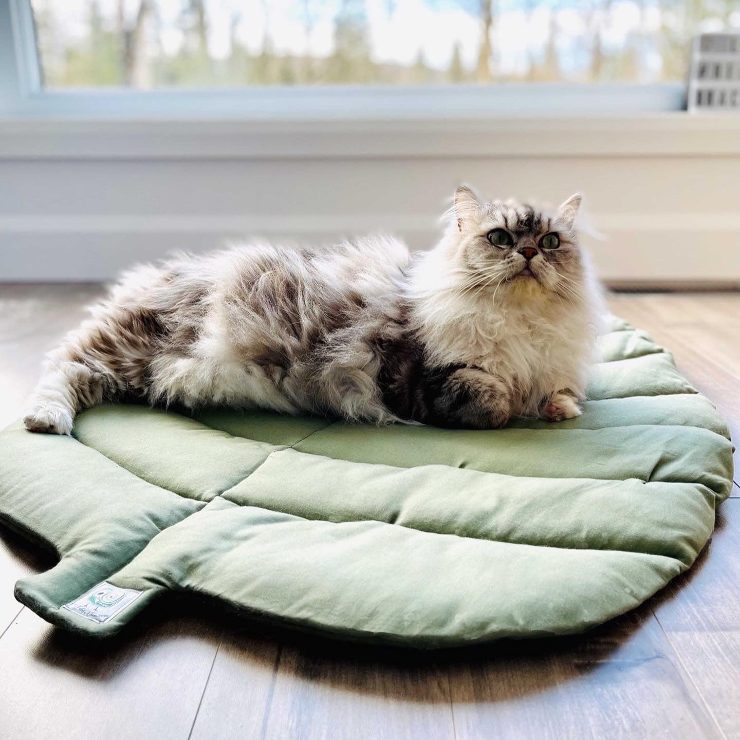 Tapis d'éveil feuille, tapis décoratif, tapis de sol ou de jeu pour bébé, prêts à partir !