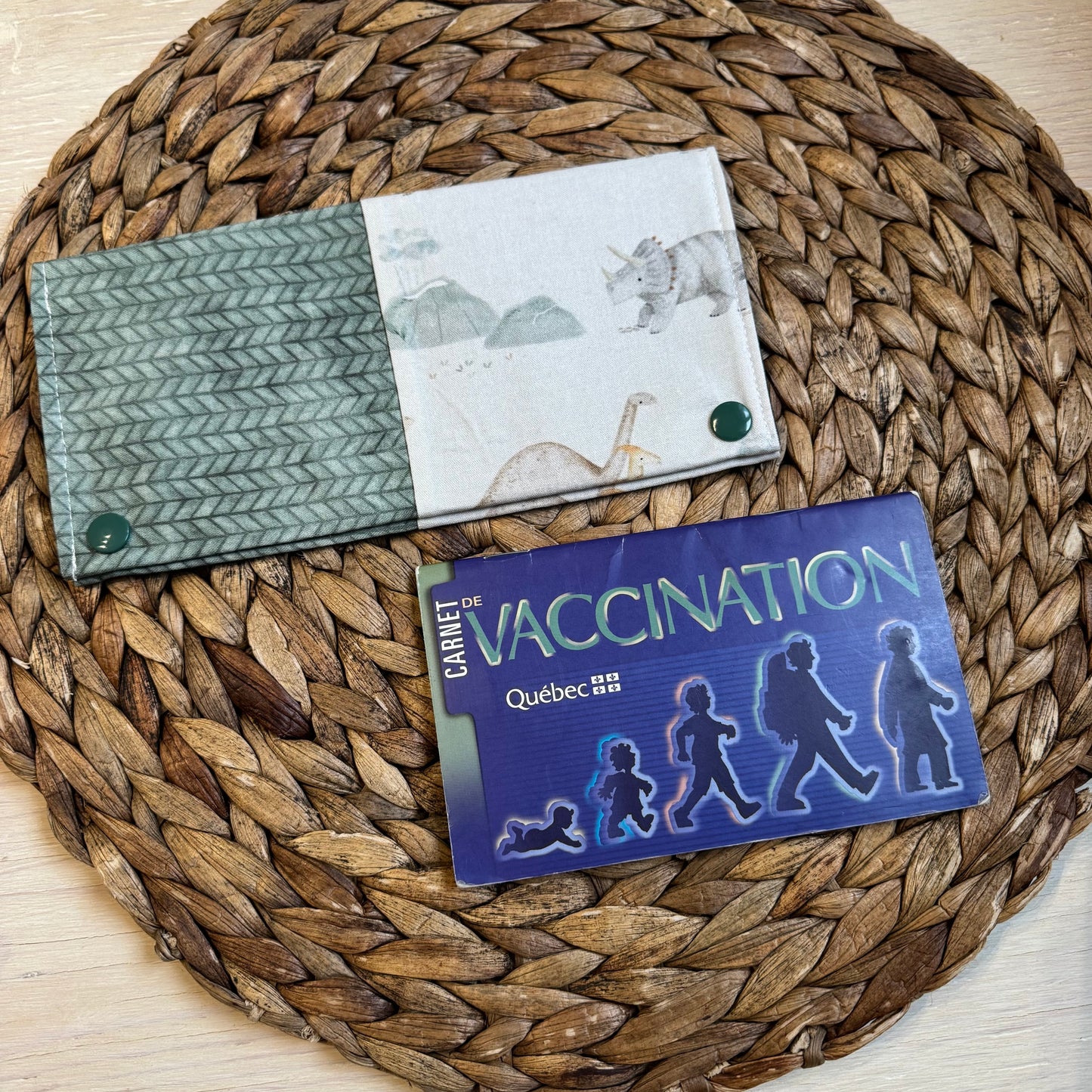 Health record book cover that can hold 2-3 booklets and 8-10 cards. READY TO GO