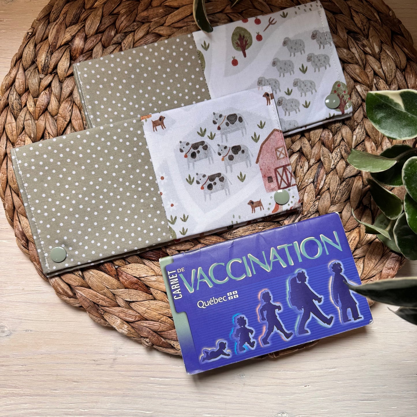 Health record book cover that can hold 2-3 booklets and 8-10 cards. READY TO GO